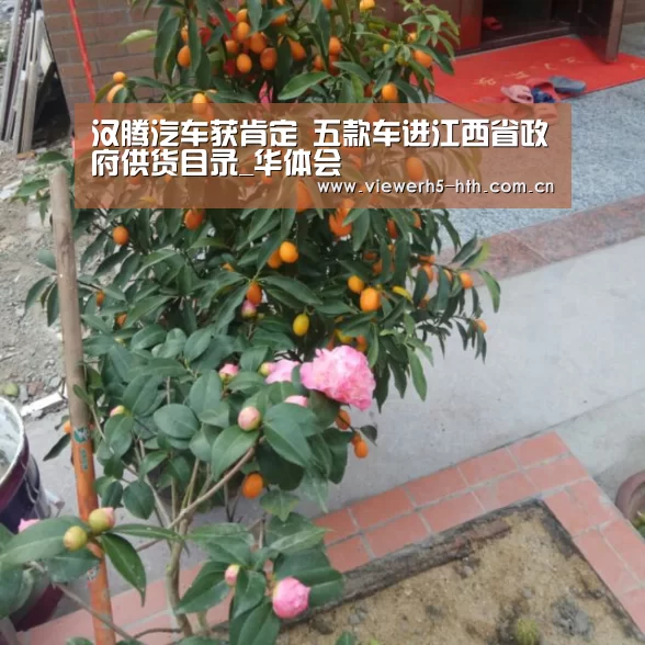 汉腾汽车获肯定 五款车进江西省政府供货目录_华体会(图2)