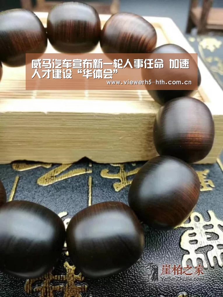 威马汽车宣布新一轮人事任命 加速人才建设“华体会”
